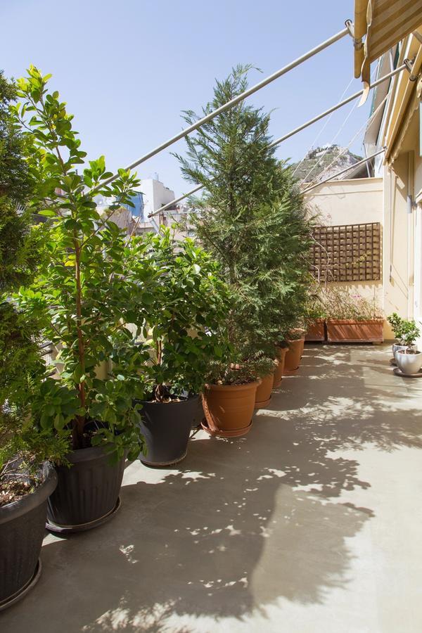 Beautiful Penthouse In Athens With Outside Jacuzzi Lägenhet Exteriör bild